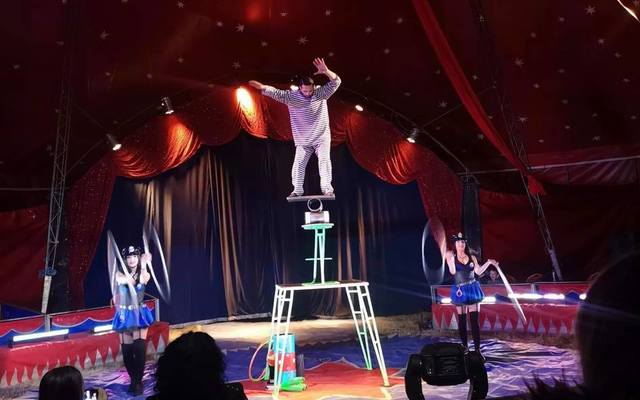 Stigao je cirkus!