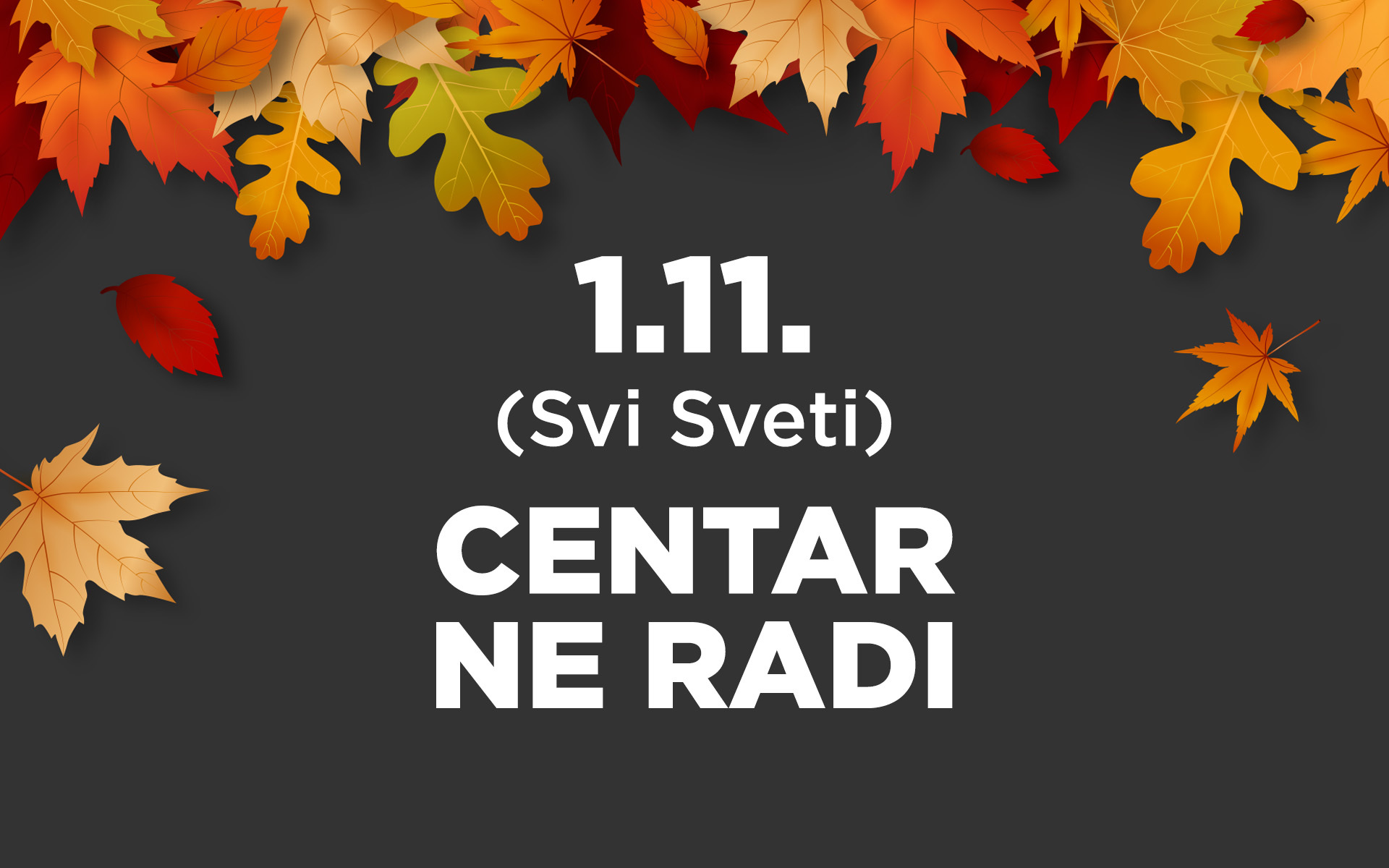 1.11. centar ne radi